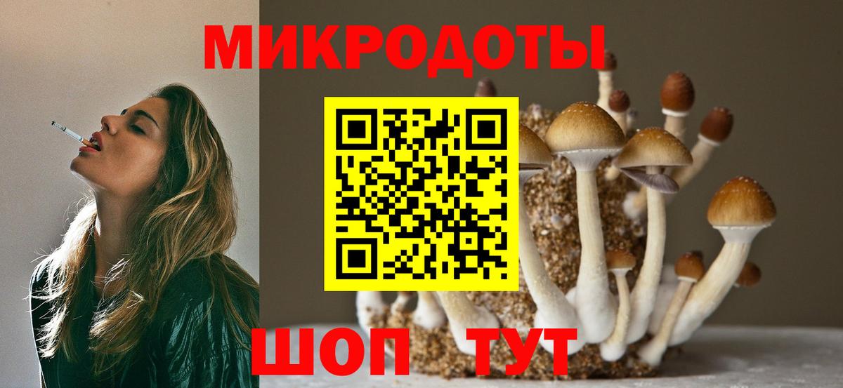 Псилоцибиновые грибы MAGIC MUSHROOMS  Галлюциногенные грибы прущие грибы  продажа наркотиков  Вход с VPN  Тольятти 
